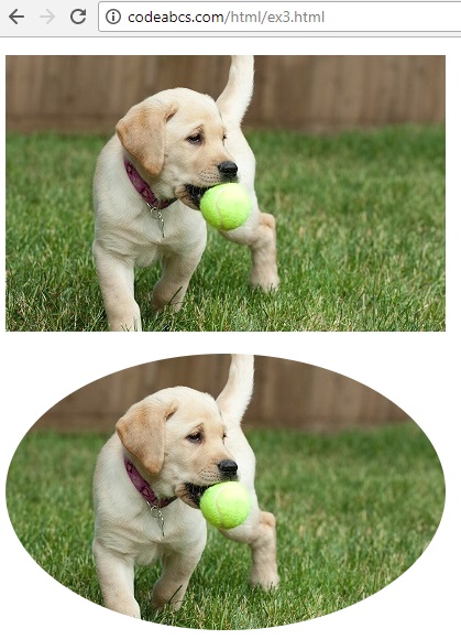 screenshot of HTML image tag example